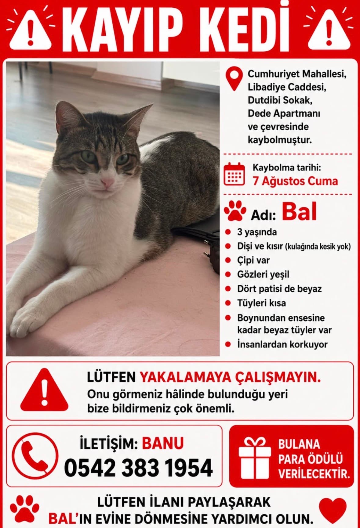 BAL KAYIP – ÜSKÜDAR / LİBADİYE